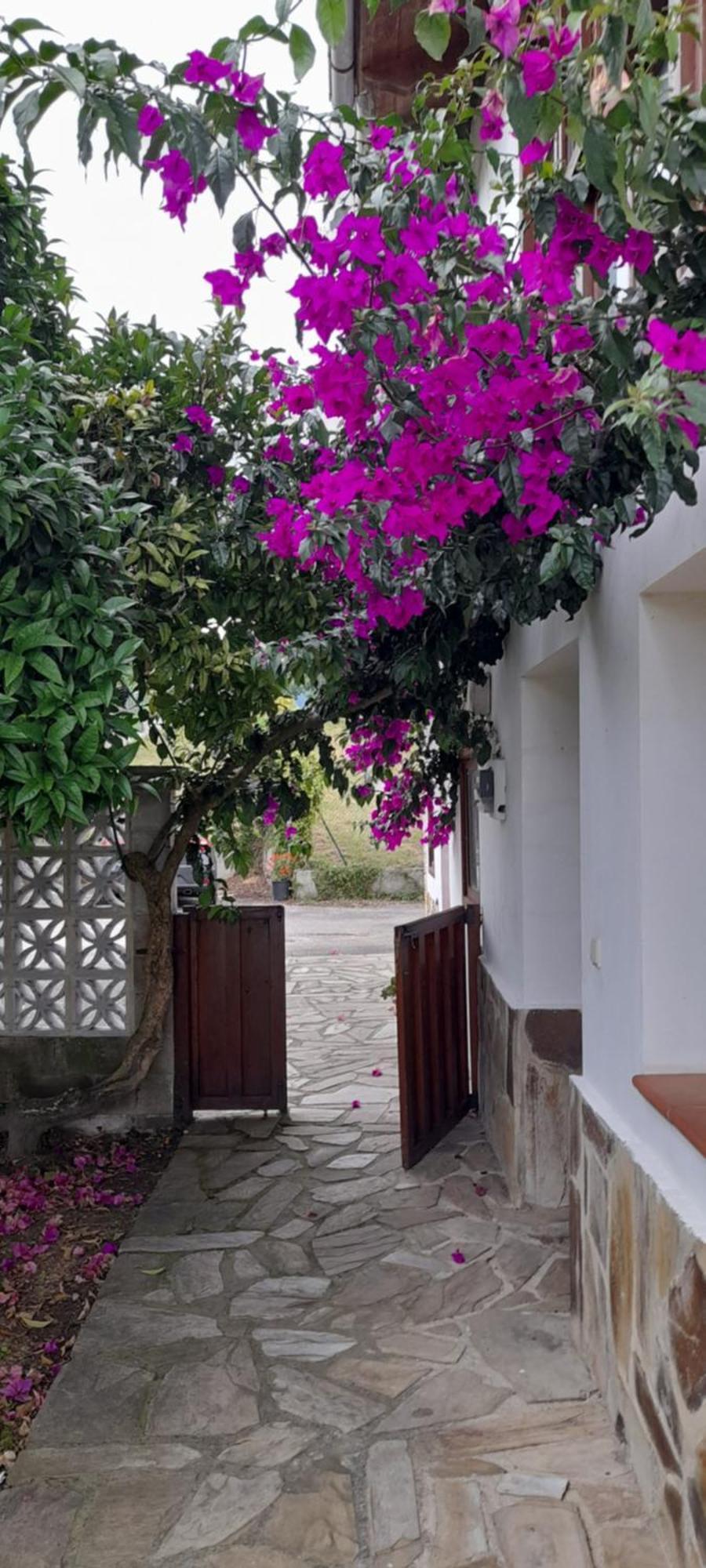 Gestiona2R - Casa Con Finca En Pendueles Al Lado De La Playa リャネス エクステリア 写真